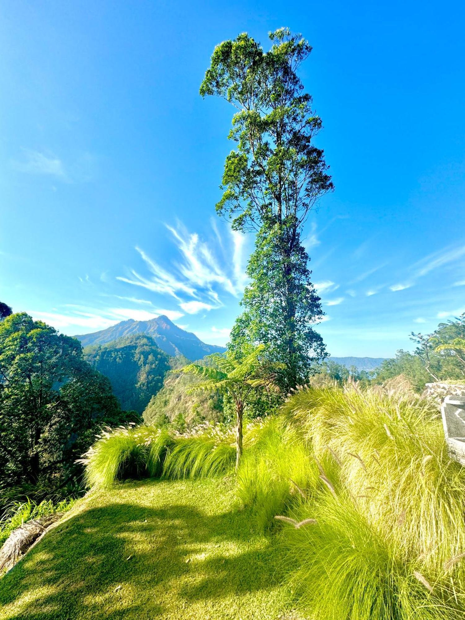 Alengkong Bali Camp Hotel Bangli Kültér fotó